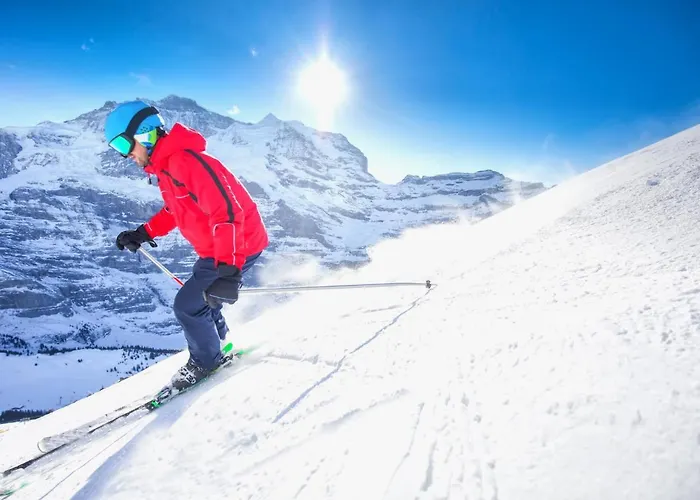 Allod Park Haus C E03 By Interhome Daire Ostrava